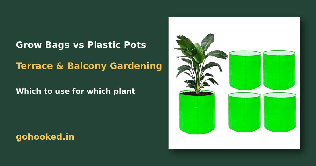 Grow Bags vs Plastic Pots: Which Is Better for Terrace and Balcony Gardening? – Go Hooked blog featured image
