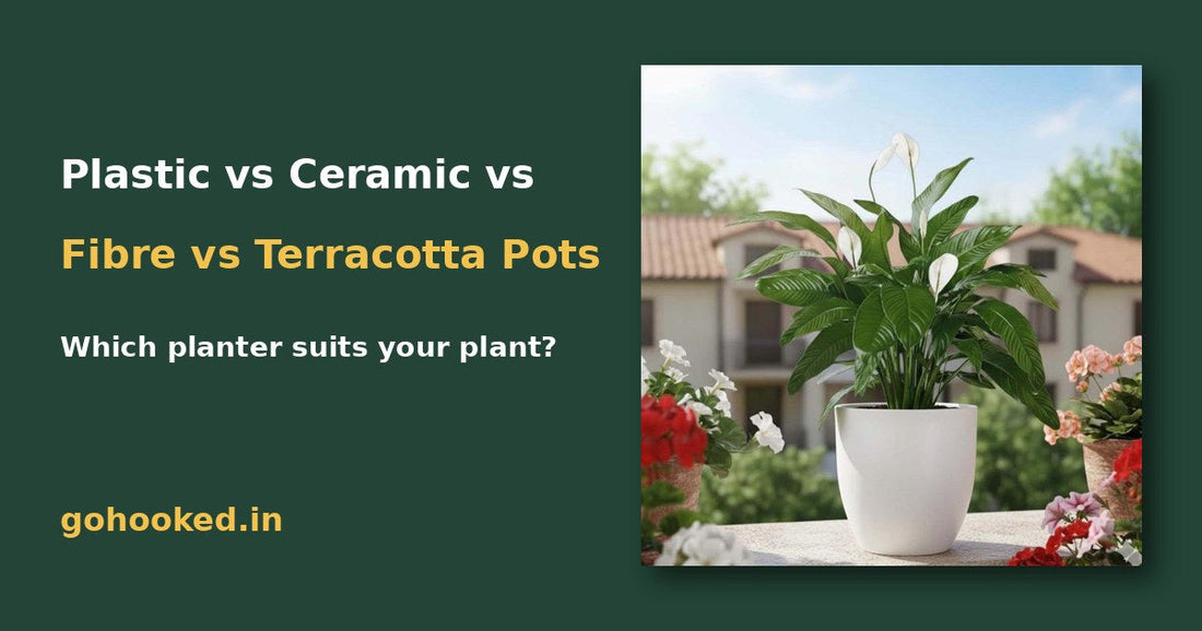 Plastic vs Ceramic vs Fibre vs Terracotta Planters: Which Pot Should You Choose? – Go Hooked blog featured image