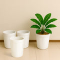 Go Hooked Plastic Planter Pot for Indoor Outdoor Plants 14 Inch Flower Pot for Home Decor, Balcony, Garden, Office – Decorative Plant Container Lightweight & Durable