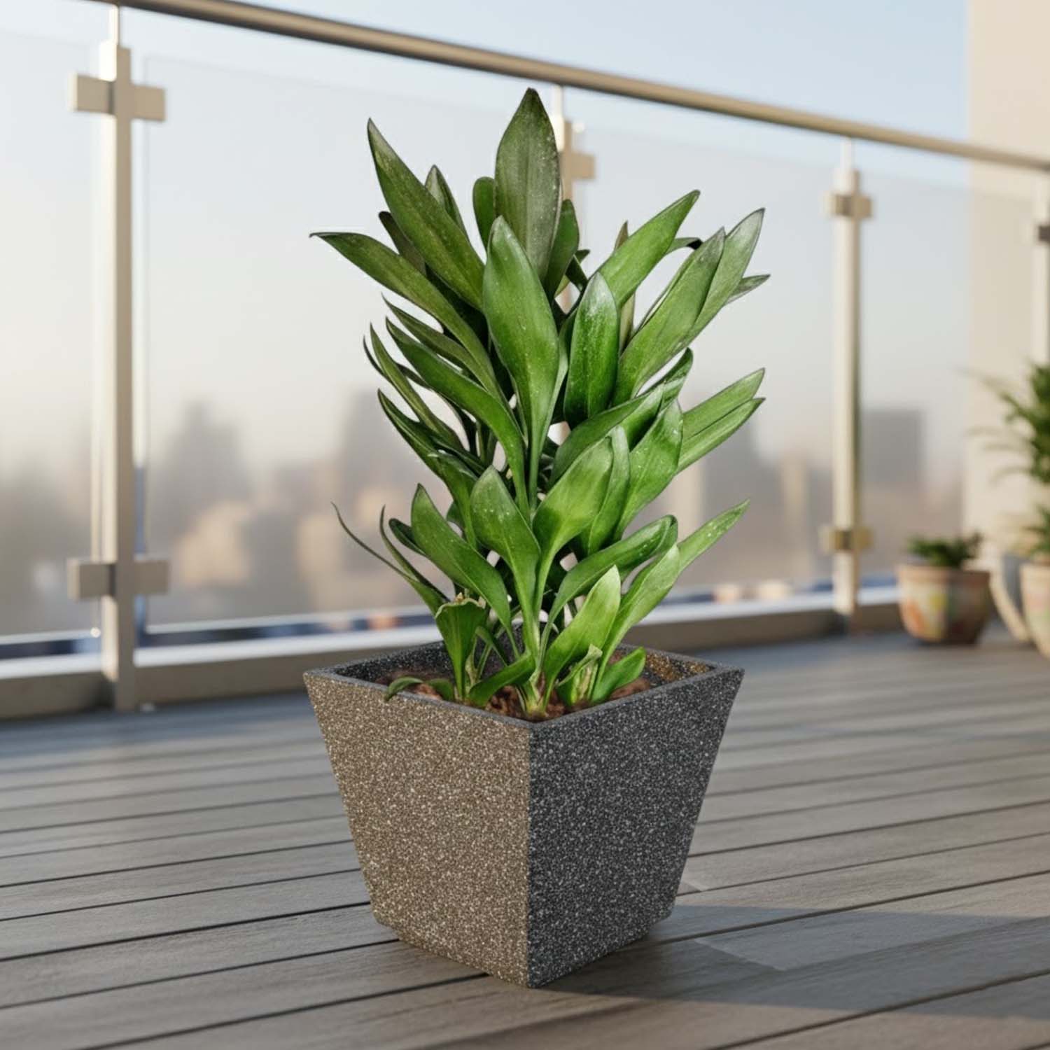Go Hooked 12-Inch Chorsa Planter for Plants | Lightweight, UV-Resistant Polymer Pot for Indoor & Outdoor Plant | Durable Square Flower Pot for Balcony, Garden, Terrace & Home Decor – Black