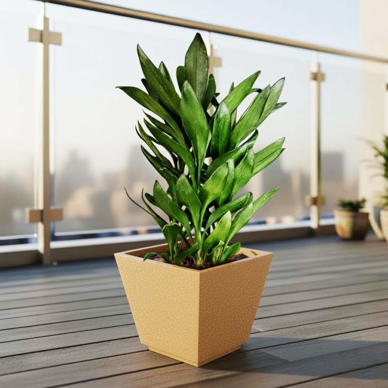 Go Hooked 12-Inch Chorsa Planter for Plants | Lightweight, UV-Resistant Polymer Pot for Indoor & Outdoor Plant | Durable Square Flower Pot for Balcony, Garden, Terrace & Home Decor – Black