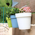 Go Hooked Wall Hanging Pot Set (Multicolor)(Set of 10)