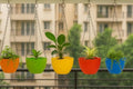 Go Hooked Plastic Hanging Pot, Multicolour, LxDxH - 19x12x13 cm, 7 Pieces