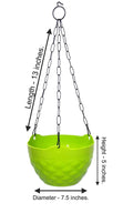 Go Hooked Plastic Hanging Pot, Multicolour, LxDxH - 19x12x13 cm, 7 Pieces