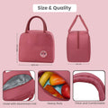 Go Hooked Lunch Bag for Office, School & Travel | Premium Oxford Cloth Thermal Tote | Reusable Leakproof Lunch Box Carry Bag with Sturdy Handle for Men & Women (Pink)