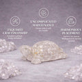 Go Hooked Natural Clear Quartz Crystal Tortoise for Vastu Balance & Energy Amplification | Feng Shui Turtle for Clarity, Healing & Positive Aura | Transparent Stone Showpiece Home, Office & Meditation