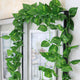 Go Hooked Artificial Hanging Creeper for Home Décor (Pack of 5, 6 Ft) | Money Plant Leaf Garland with 30 Leaves Each | Plastic Decorative Creeper for Balcony, Walls, Garden Decoration