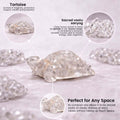 Go Hooked Natural Clear Quartz Crystal Tortoise for Vastu Balance & Energy Amplification | Feng Shui Turtle for Clarity, Healing & Positive Aura | Transparent Stone Showpiece Home, Office & Meditation