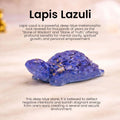 Go Hooked Lapis Lazuli Crystal Tortoise for Wisdom, Communication & Confidence | Feng Shui Vastu Turtle for Intelligence & Decision Making | Blue Stone Showpiece Study Table, Office Desk & Home Decor
