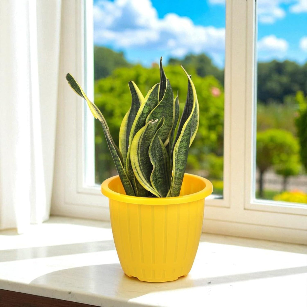 GoHooked yellow Duro planter pot with a snake plant on a bright windowsill