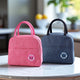 Go Hooked Lunch Bag Pack of 2 for Office, School & Travel | Thermal Oxford Cloth Tote with Leakproof Aluminum Lining | Reusable Lunch Box Carry Bag with Handles for Men & Women (Blue & Pink)
