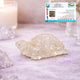 Go Hooked Natural Clear Quartz Crystal Tortoise for Vastu Balance & Energy Amplification | Feng Shui Turtle for Clarity, Healing & Positive Aura | Transparent Stone Showpiece Home, Office & Meditation