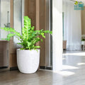 Go Hooked 15 Inch Polymer Flower Pot for Plants | Large Round Plant Pot for Home Garden Balcony | Premium Lightweight Durable Gamla for Indoor Outdoor Plants | Modern Decorative White Planter