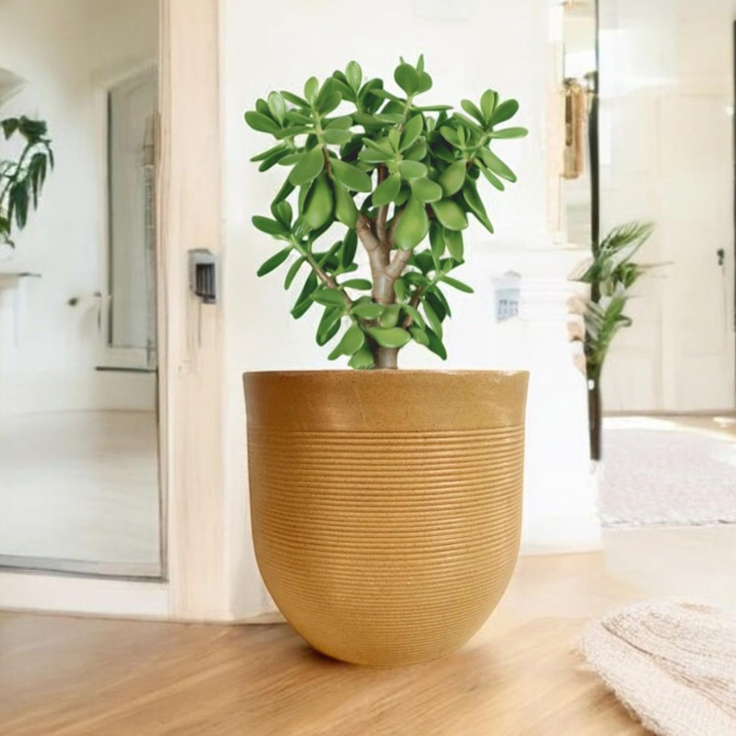 Go Hooked 15 Inch Polymer Flower Pot for Plants | Large Round Plant Pot for Home Garden Balcony | Premium Lightweight Durable Gamla for Indoor Outdoor Plants | Modern Decorative White Planter