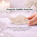 Go Hooked Natural Clear Quartz Crystal Tortoise for Vastu Balance & Energy Amplification | Feng Shui Turtle for Clarity, Healing & Positive Aura | Transparent Stone Showpiece Home, Office & Meditation