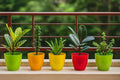 Go Hooked Plastic Indoor Plant Pot, Multicolor, Size -13x13x10cm, 6 Pcs Small