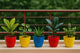 Go Hooked Plastic Indoor Plant Pot, Multicolor, Size -13x13x10cm, 6 Pcs Small