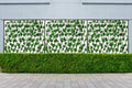 Go Hooked Durable Plastic Artificial Grass Fence for Outdoor Decor Plastic Versatile Maintenance Free Easy Install Weather Resistant UV Decorative Protected Green Pack of 1