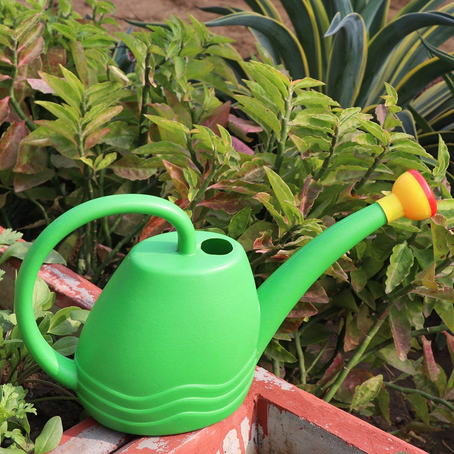 Bianco Premium Plastic Watering Can for Plants (Green) (1.8 litres)