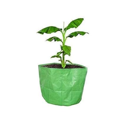 (Pack of 5) Plant Grow Bags for Terrace Garden Vegetables, Planting Pots, Woven Fabric Leafy Fruits Growing Containers (Color-Green & White, Size- 12" X 12", Shape- Round, 5 Pcs)