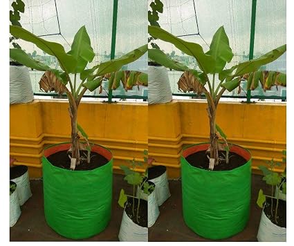 (Pack of 5) Plant Grow Bags for Terrace Garden Vegetables, Planting Pots, Woven Fabric Leafy Fruits Growing Containers (Color-Green & White, Size- 12" X 12", Shape- Round, 5 Pcs)