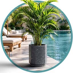 Lawn & Garden
