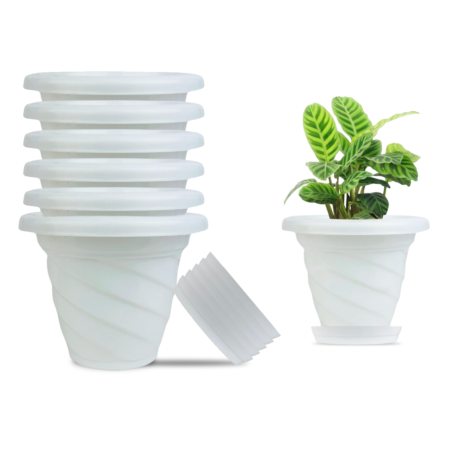 Go Hooked Plastic Planter Pots Set of 6 with Saucer Tray | Flower Pots for Home, Office Garden Dcor | 6 Inch Twister Pot for Indoor Outdoor Plants | Stylish & Modern Design Plant Containers