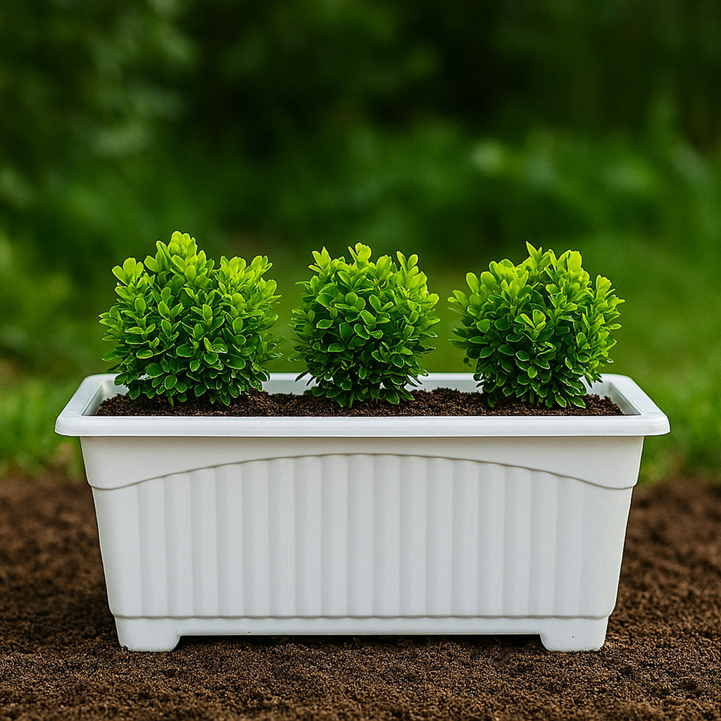 Go Hooked Rectangular Plastic Pots for Plants, Jupiter Flower Pots for Home, Window Display, Garden (Set of 5, White) (35 x 18.5 x 15 cm)