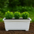 Go Hooked Rectangular Plastic Pots for Plants, Jupiter Flower Pots for Home, Window Display, Garden (Set of 5, White) (35 x 18.5 x 15 cm)