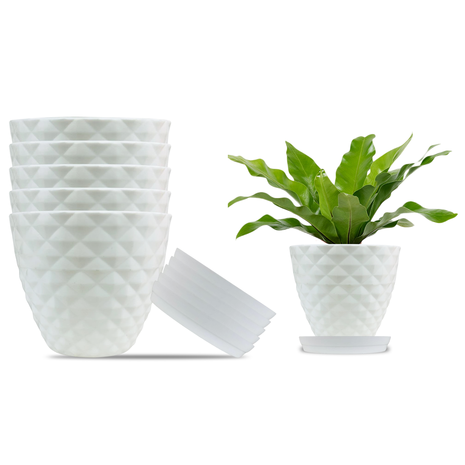 Go Hooked Plastic Planter Pots Set of 6 with Saucer Tray | Flower Pots for Home, Office Garden Dcor | 6 Inch Kohinoor Pot for Indoor Outdoor Plants | Stylish & Modern Design Plant Containers