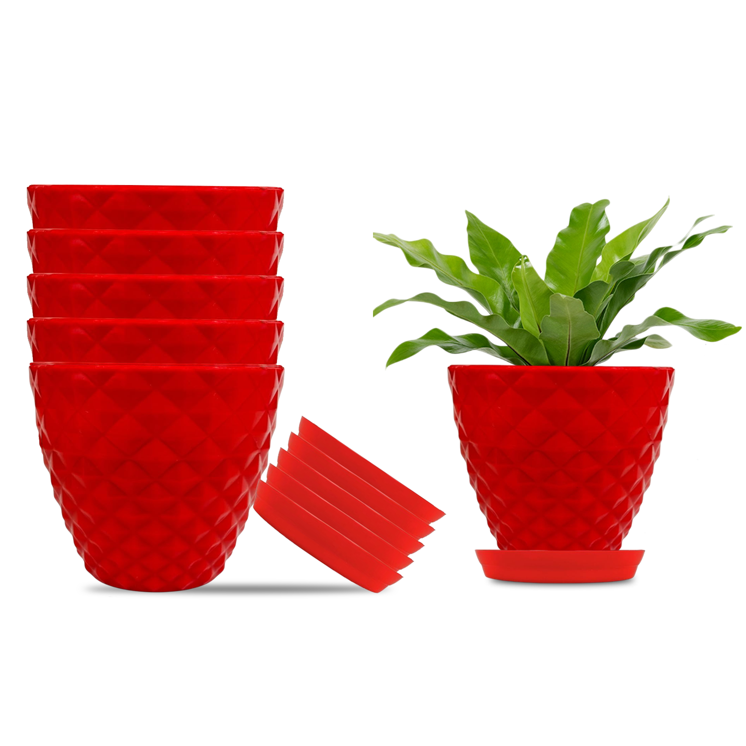 Go Hooked Plastic Planter Pots Set of 6 with Saucer Tray | Flower Pots for Home, Office Garden Dcor | 6 Inch Kohinoor Pot for Indoor Outdoor Plants | Stylish & Modern Design Plant Containers