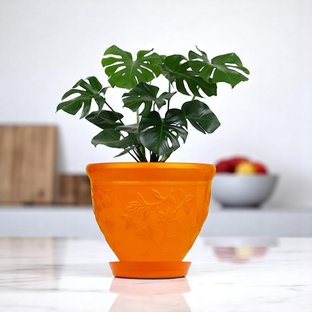 Go Hooked Plastic Planter Pots Set of 6 with Saucer Tray | Flower Pots for Home, Office Garden Décor | 6 Inch Victor Pot for Indoor Outdoor Plants | Stylish & Modern Design Plant Containers