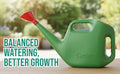 5 Liter Garden Watering Can With Spout