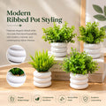 Bianco Artificial Mini Plant (4 Pack) | Small Faux Plants Home & Office Decor, Living Room, Bedroom, Tabletop & Shelves | Small Potted Plants | Stylish Round Pot