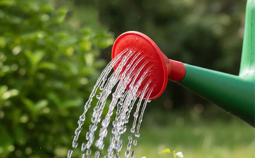 5 Liter Garden Watering Can With Spout