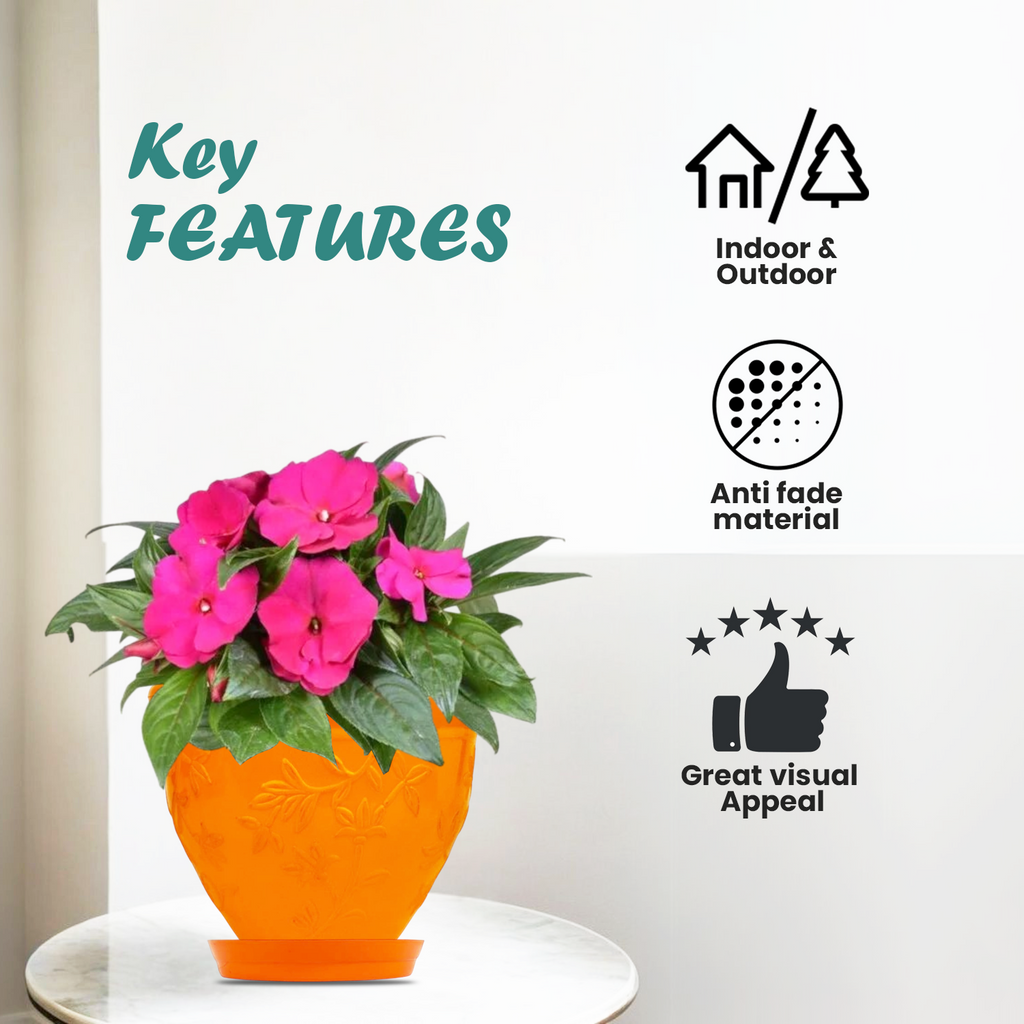 Go Hooked Plastic Planter Pots Set of 6 with Saucer Tray | Flower Pots for Home, Office Garden Décor | 6 Inch Victor Pot for Indoor Outdoor Plants | Stylish & Modern Design Plant Containers