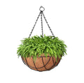 GoHooked 10" hanging basket with coco liner and metal chain, filled with lush green ferns.