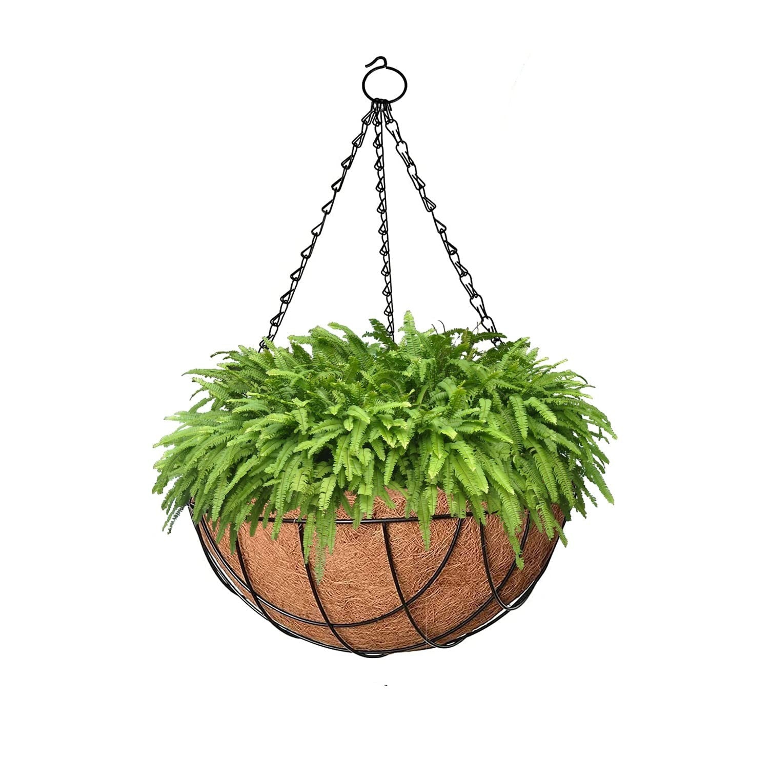 GoHooked 10" hanging basket with coco liner and metal chain, filled with lush green ferns.