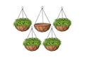GoHooked 5 pack 10" brown coir hanging baskets with metal chains, filled with lush green ferns.