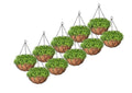 Go Hooked 10" brown coir hanging baskets with metal chains, set of 10, filled with lush green ferns.