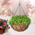 GoHooked 10" hanging basket with coco liner and metal chain, filled with lush green ferns.