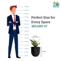 Go Hooked 12 inch round black textured polymer plant pot with a snake plant inside. Size comparison graphic.
