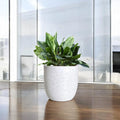 GoHooked 12 inch round grey polymer planter with textured finish holding a green plant indoors.