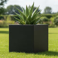 Go Hooked 15-inch black polymer cube planter with a succulent plant, perfect for outdoor gardening.