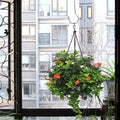 GoHooked 16 inch heavy duty black metal S hook holding a lush hanging plant with orange and purple flowers.
