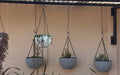 Go Hooked 16 inch heavy duty black metal S-shaped plant hanging hooks for outdoor use.