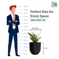 GoHooked 18-inch modern black ribbed polymer plant pot with snake plant. Size comparison graphic.
