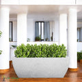 Go Hooked 24-inch white rectangular planter pot made of heavy-duty UV-resistant polymer with drainage hole.