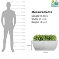 GoHooked 36-inch white rectangular planter pot made of heavy-duty UV-resistant polymer with drainage hole. Ideal for indoor/outdoor plants.