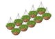 Go Hooked 8" Coir Hanging Basket/Coco Gardening Liner with Hanging Pots and Metal Hanging Chain/Hanging Planters- Set of 10 (Brown)